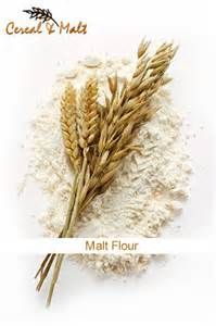 MALT FLOUR 1KG