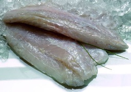 [BARRA-200/300] SALTWATER BARRAMUNDI FILLETS 200/300 -  5KG