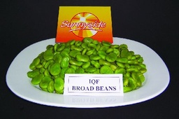 [BROADBEANS] FROZEN BROAD BEANS 1KG