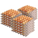 [EGGXLAR] Eggpro Barn Laid Eggs X LARGE 700gm - 15 Dozen